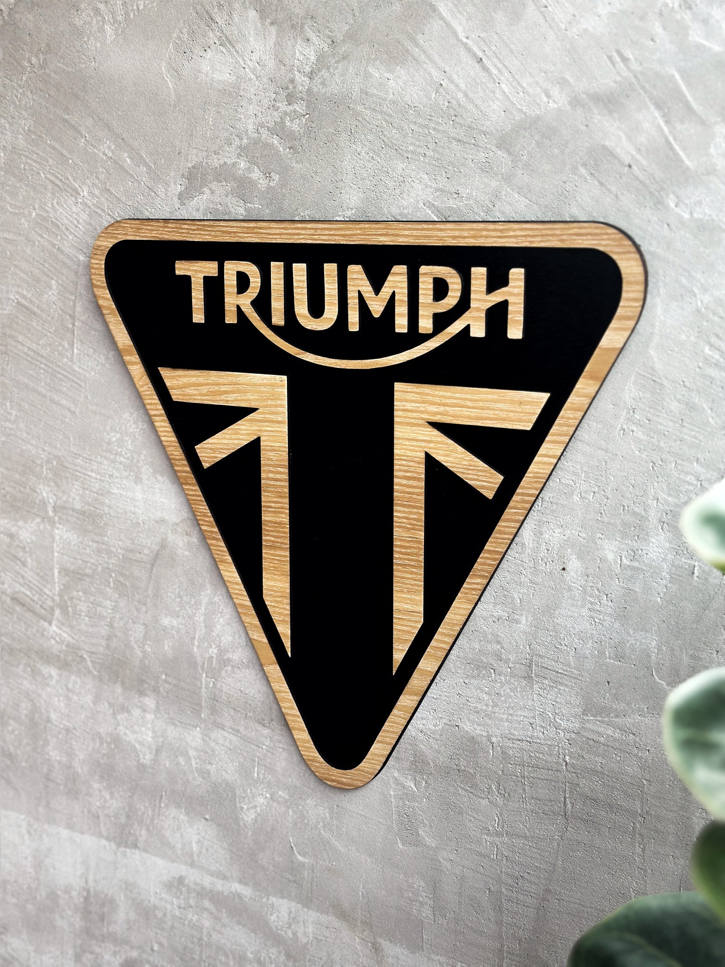Triumph wood sign 3D wall decorations
